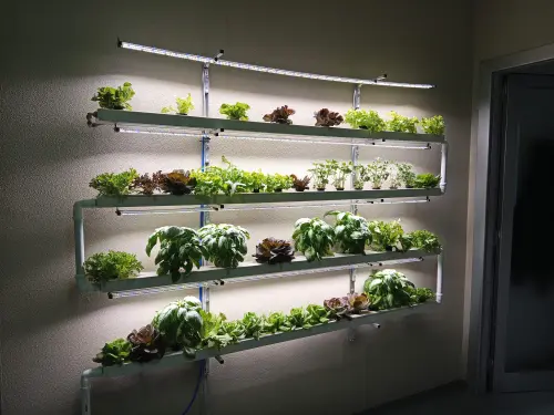 Sistema idroponico NFT a parete da 2 metri con 80 posti pianta e luci LED IP65