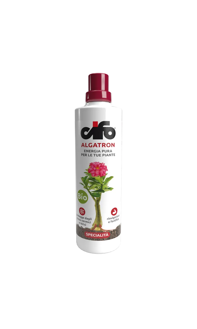Cifo Algatron 500 ml concime liquido a base di alghe biostimolante per coltivazione idroponica