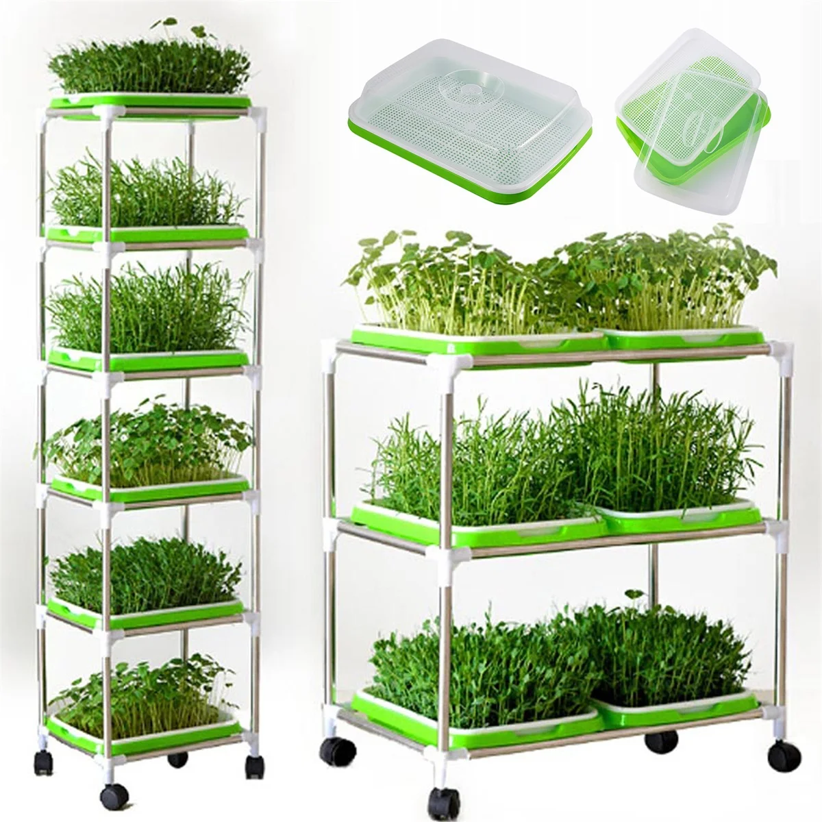 Kit coltivazione germogli verticale scaffale 3 ripiani con vassoi coperchio microgreens cresciuti