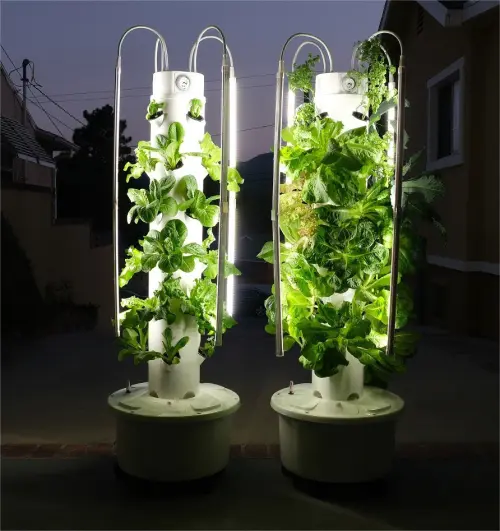Due torri idroponiche verticali 24 piante in terrazzo al tramonto con lattughe e aromatiche outdoor