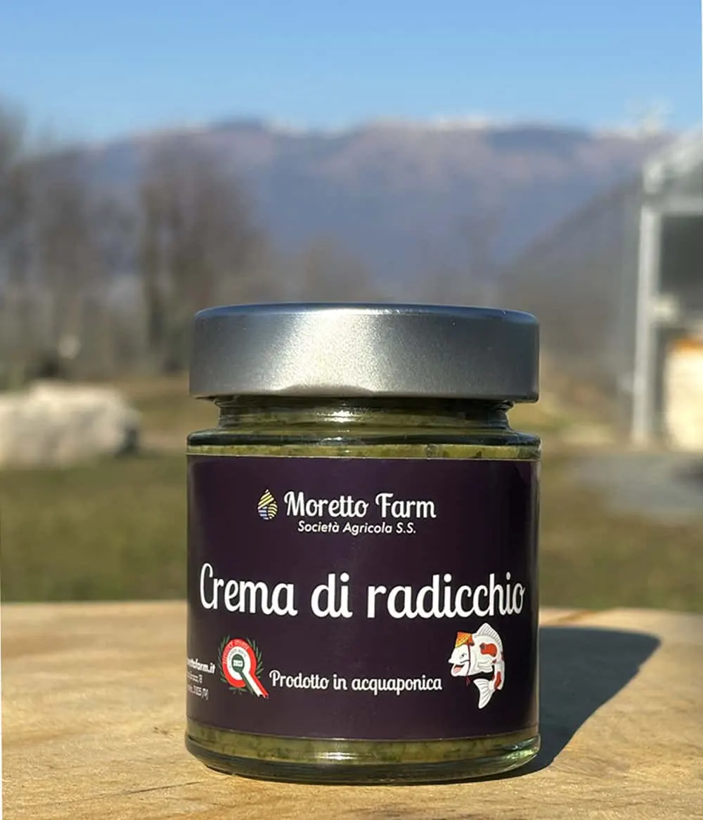 Crema di radicchio Verde Virtù di Moretto Farm: prodotta in acquaponica con verdure fresche