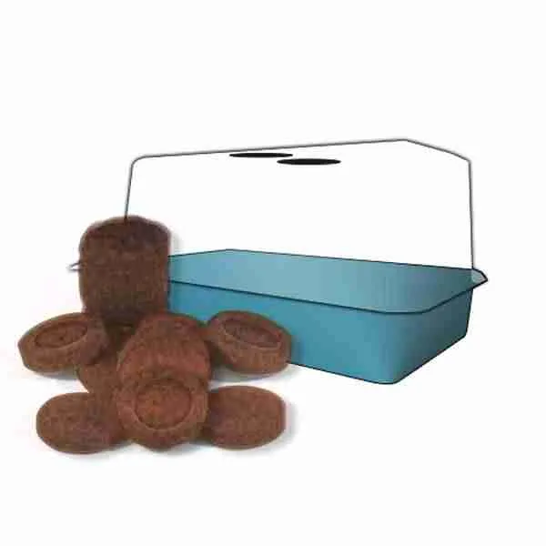 Kit germinazione start con dischetti Jiffy in fibra di cocco e miniserra azzurra per semina
