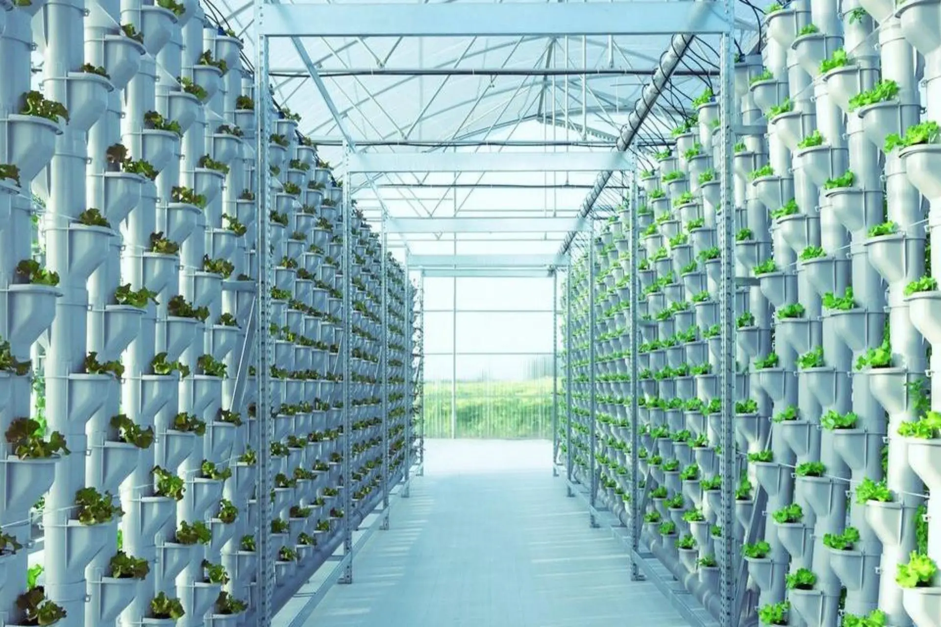 Torri idroponiche verticali GrowPipes a parete verde indoor: living wall vegetale per ristoranti, hotel e showroom