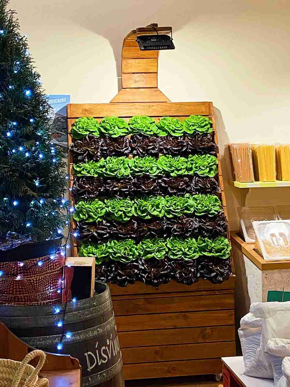 Impianto idroponica Hortet kit in legno design con lattughe verticali e luce LED frontale