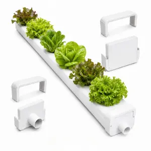 Canalina NFT bianca 100x80 mm con vasi a rete e lattughe per la coltivazione idroponica