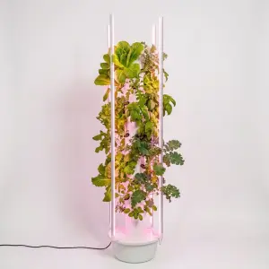 Torre idroponica verticale modulare con luce LED e piante per la coltivazione idroponica indoor in casa