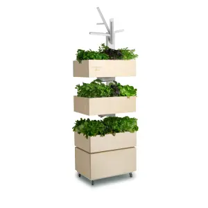 Agricooltur Aerofresh con insalate e aromatiche: torre aeroponica espositiva con nebulizzazione per piante km zero