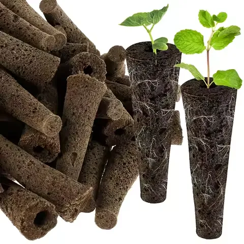 Coni e bacelli grow sponge in fibra vegetale per germinazione semi e talee in idroponica con piantine sane e rigogliose