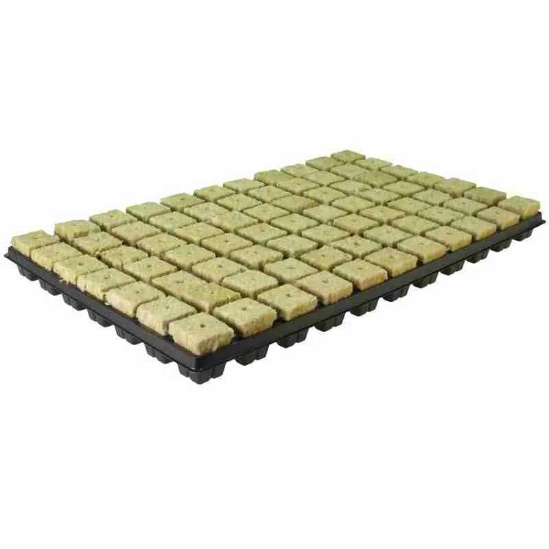 Vassoio Grodan SBS con 77 cubetti in lana di roccia 53x31 cm per germinazione idroponica