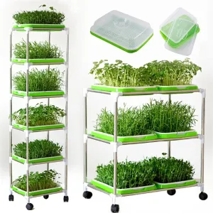 Kit coltivazione germogli verticale scaffale 3 ripiani con vassoi coperchio microgreens cresciuti