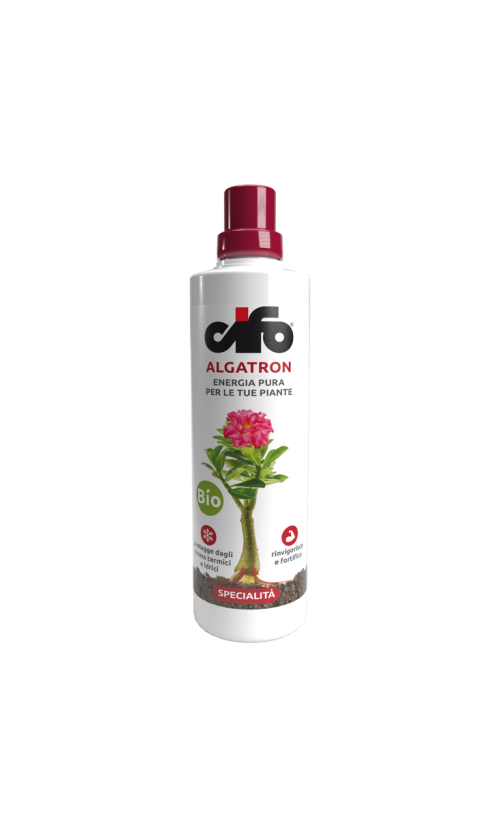 Cifo Algatron 500 ml concime liquido a base di alghe biostimolante per coltivazione idroponica