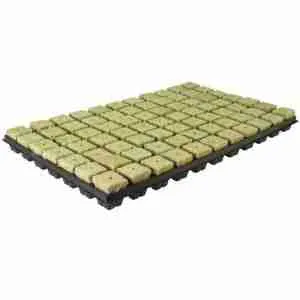 Vassoio Grodan SBS con 77 cubetti in lana di roccia 53x31 cm per germinazione idroponica