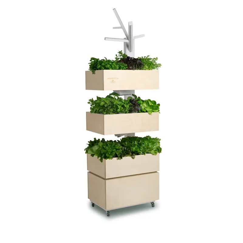 Agricooltur Aerofresh con insalate e aromatiche: torre aeroponica espositiva con nebulizzazione per piante km zero
